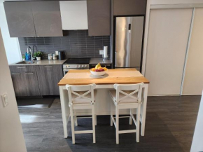 Stylish Stay Toronto Oasis